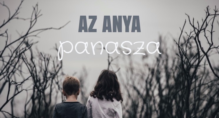Read more about the article Az anya panasza
